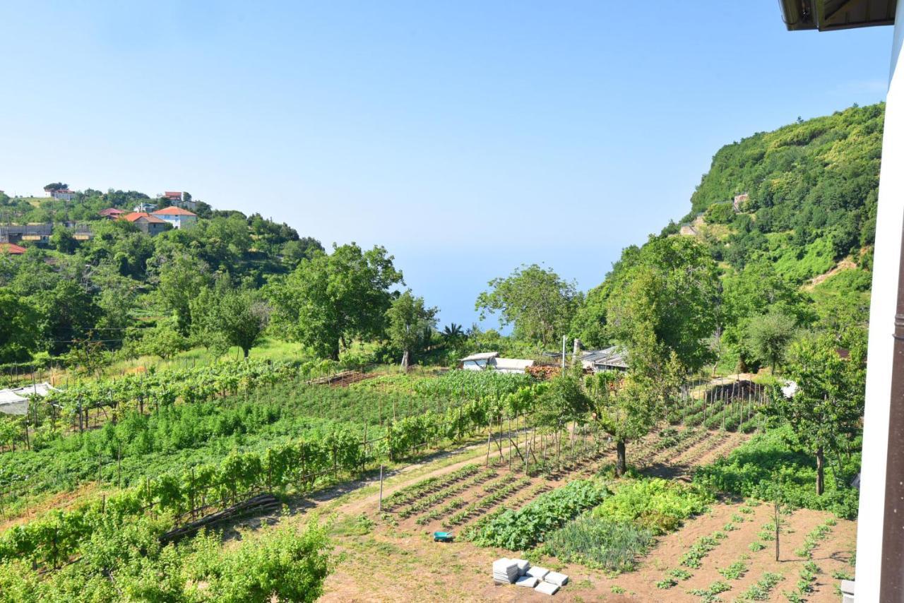 Appartamento La Terrazza sugli Dei Pianillo Esterno foto