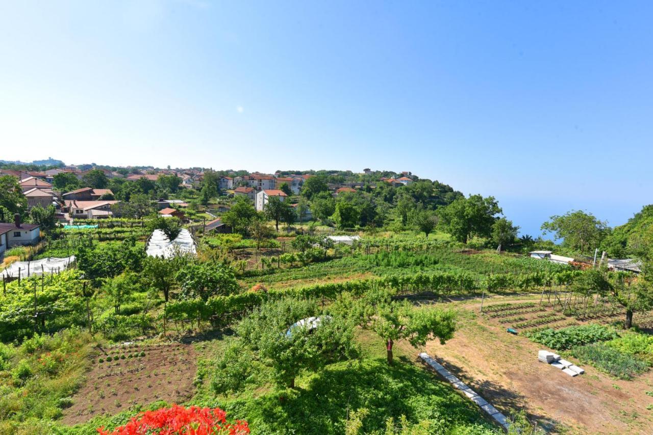 Appartamento La Terrazza sugli Dei Pianillo Esterno foto